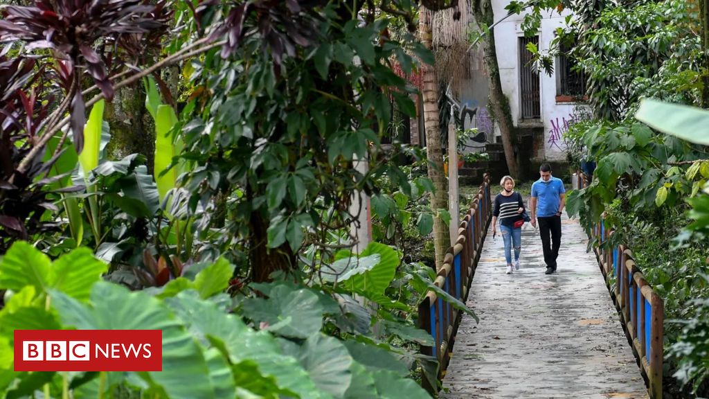 Os 'corredores verdes' de Medellín para combater calor extremo