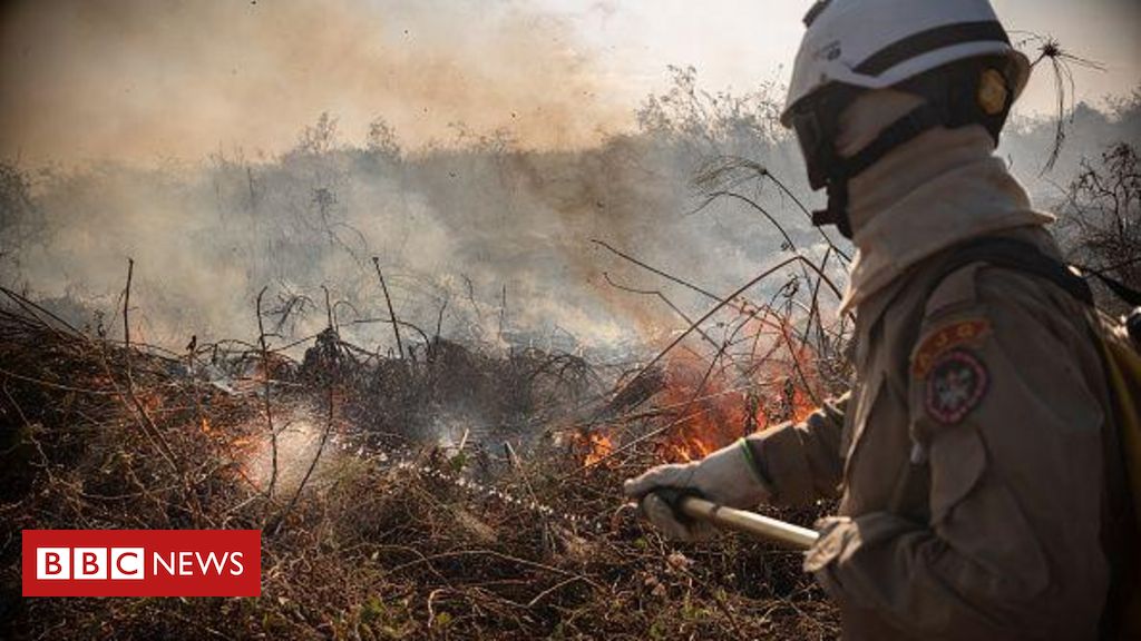 Amazônia e Pantanal têm piores queimadas das últimas duas décadas, alerta agência europeia