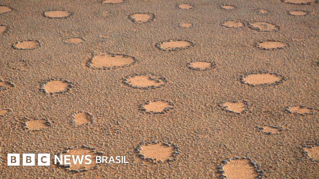 O que são os 'círculos de fadas', formações em zonas áridas que ainda intrigam cientistas
