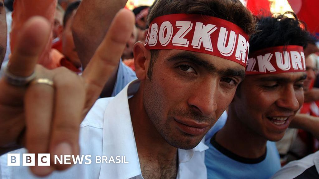 Quem são os Lobos Cinzentos, organização extremista turca banida em vários países