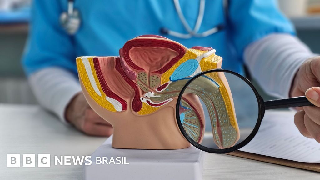 Por que o pênis é um termômetro da saúde masculina - e como prestar atenção em seus sinais de alerta