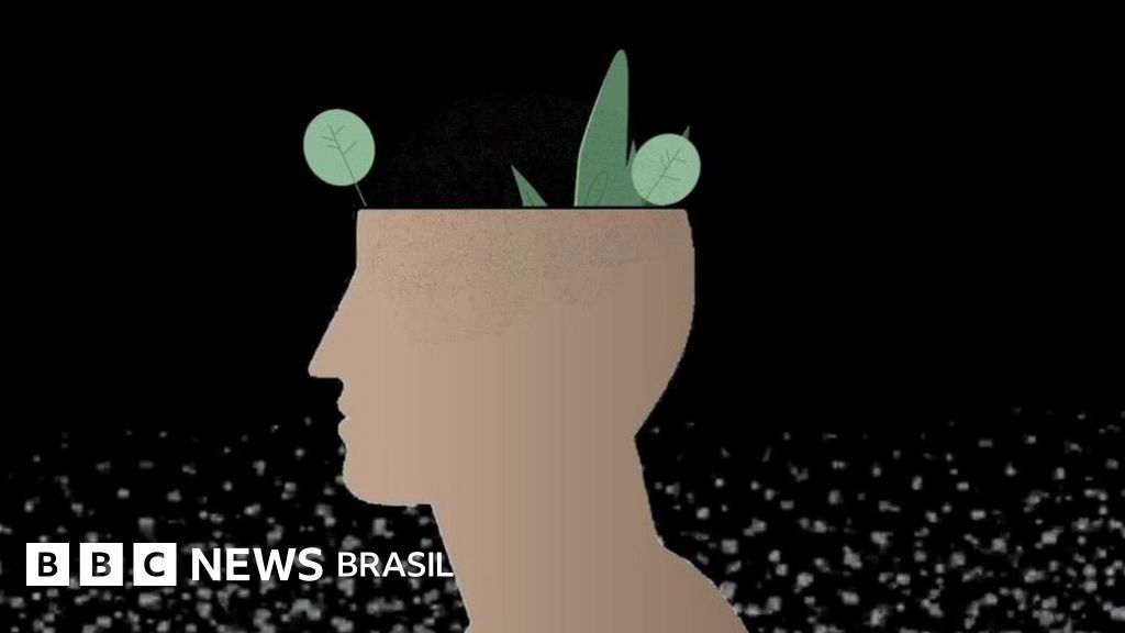 Como os hormônios controlam nossas emoções e nosso cérebro