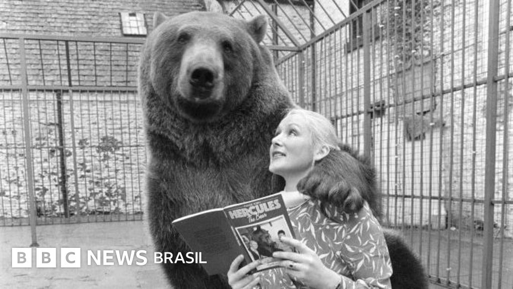A história extraordinária de Hércules, o urso que um casal adotou e criou como parte da família