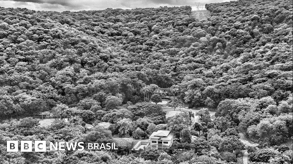 Parceria de Salgado com Vale ajudou a reflorestar área em MG, mas também gerou críticas