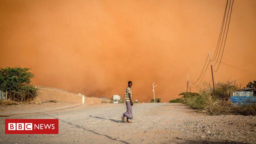 Mudança climática: a aviação pode se tornar sustentável um dia? - BBC News  Brasil