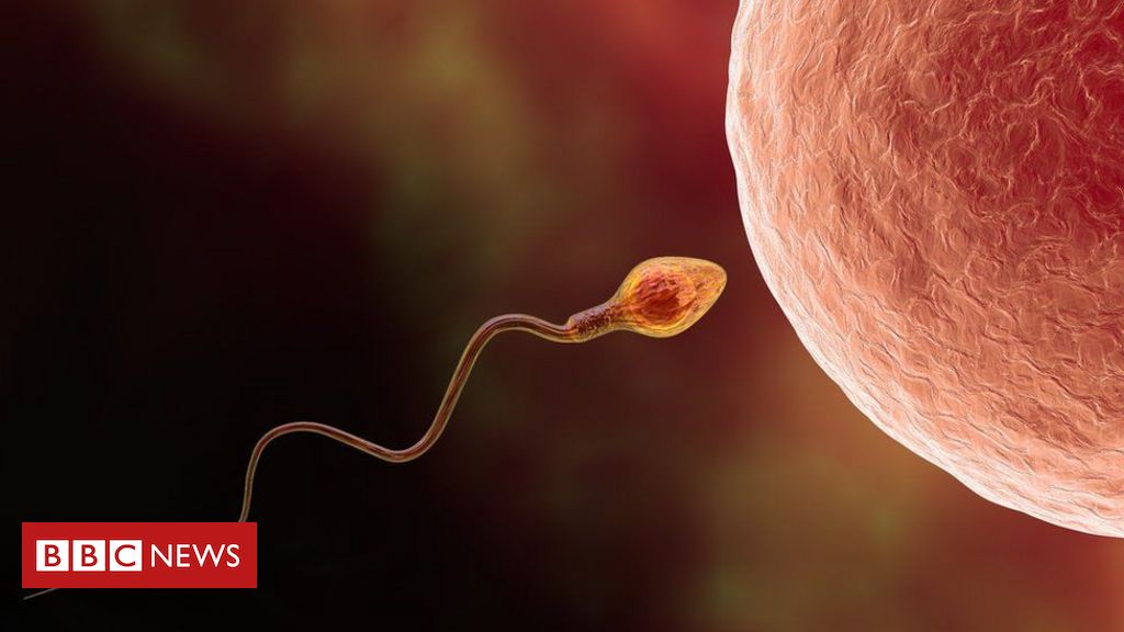 Como a inteligência artificial pode ajudar a tratar infertilidade masculina