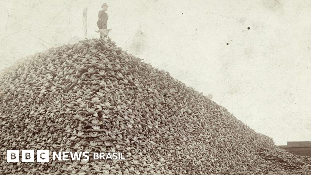 A história sinistra por trás da foto da 'montanha de crânios de bisão'