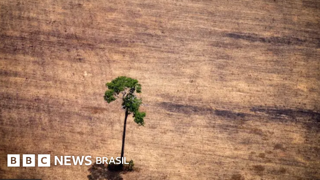 O que diz projeto no Congresso que muda licenciamento ambiental, é defendido por ruralistas e divide governo Lula