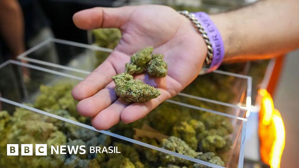 Por que governo Trump pode promover maior mudança na política de drogas dos EUA em décadas