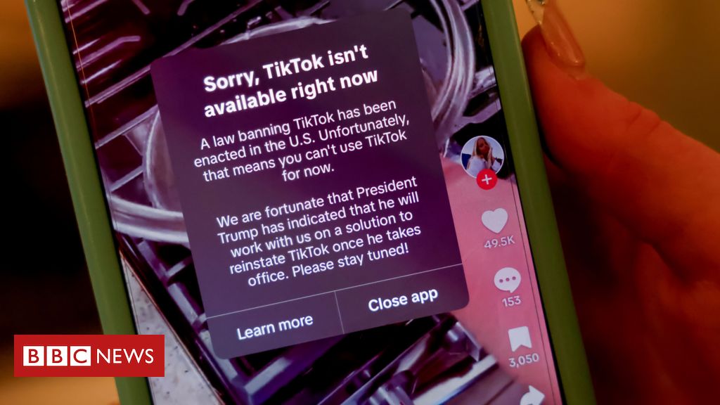 TikTok sai do ar nos EUA à espera de solução de Trump para reverter banimento