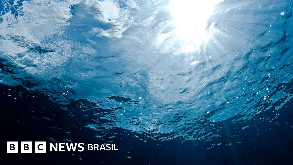 Brasil vive 'crescente degradação' dos oceanos e tendência é piorar, diz professor que participa de conferência ao lado de Lula