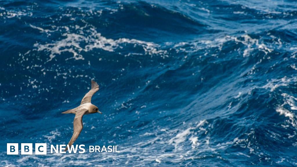 Por que o Oceano Pacífico é mais alto que o Atlântico - e como isso afeta o Canal do Panamá