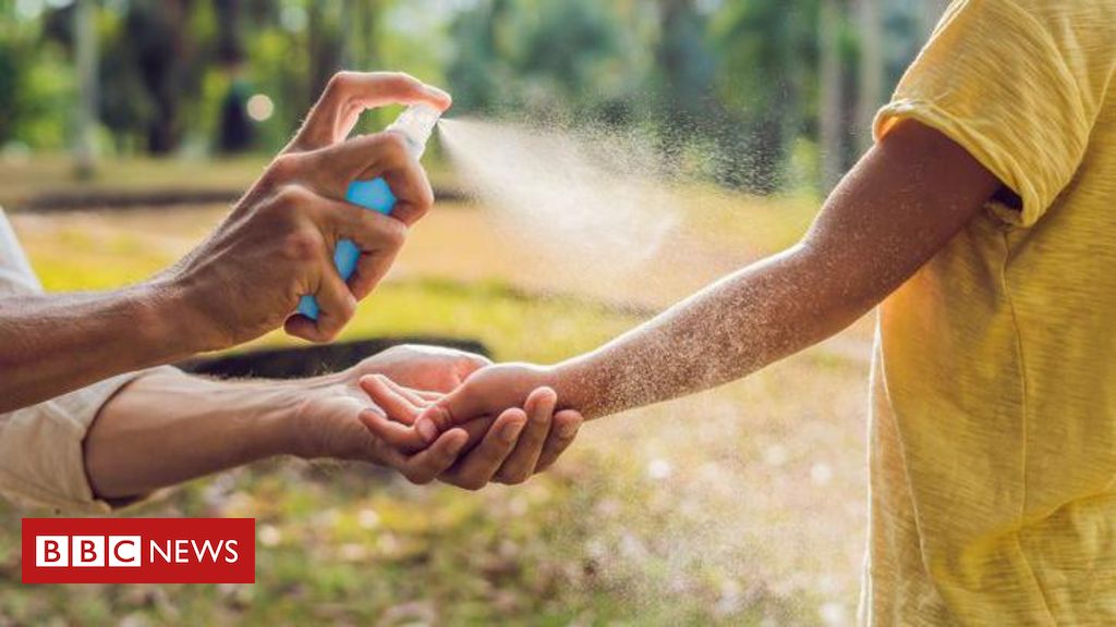 BBC testa repelentes de mosquito: qual é mais eficaz?