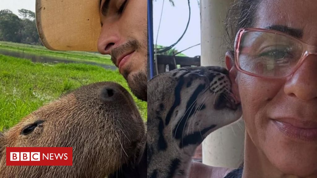 Os influencers que ganham fama exibindo animais selvagens como pets