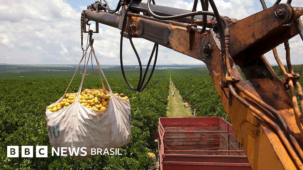 A reação do agronegócio, amigo de Bolsonaro, às tarifas de Trump