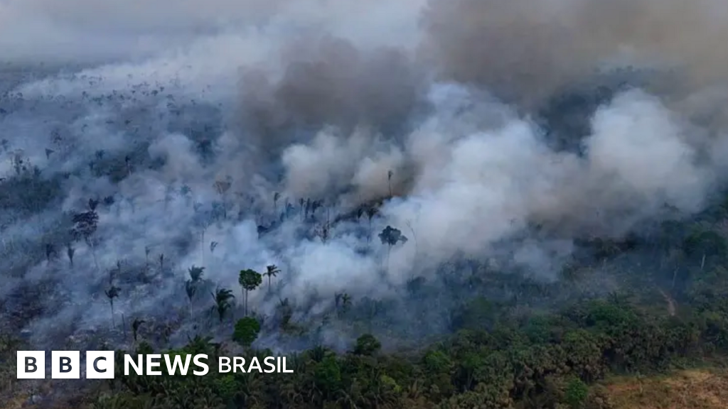 4 pontos da nova lei de licenciamento ambiental: o que acontece agora?