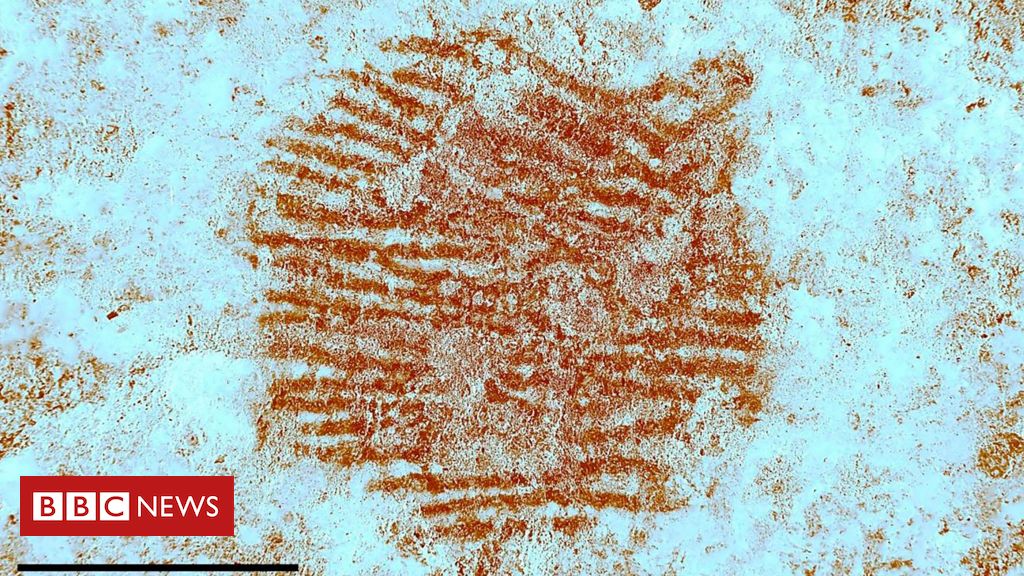 O que impressão digital 'mais antiga do mundo' revela sobre os neandertais