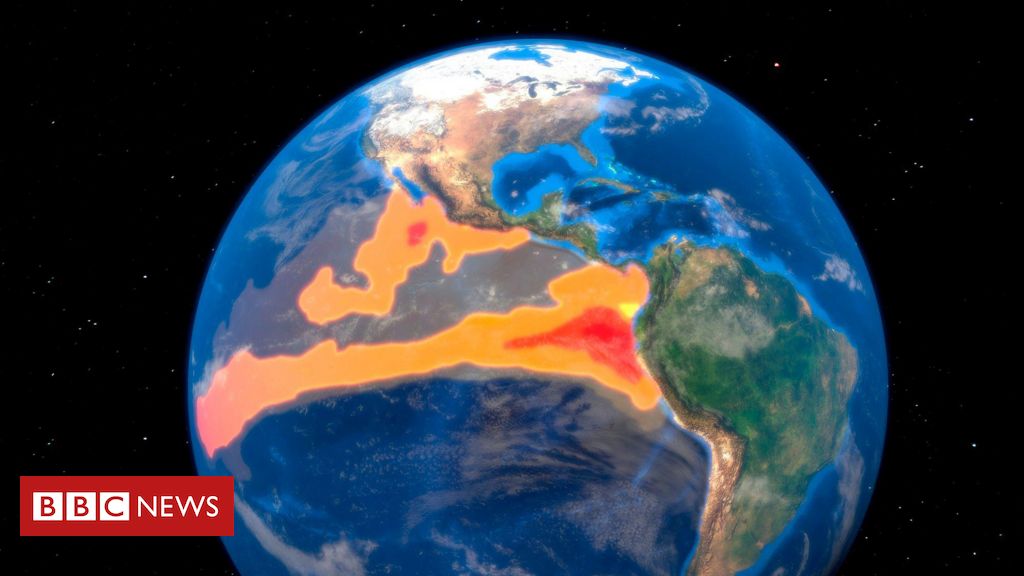 A extinção em massa que mostra o que acontece quando o El Niño sai de controle