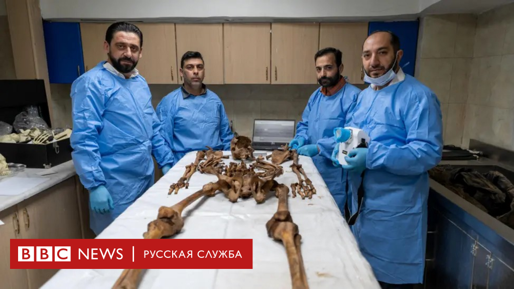 «Это будет работа на многие годы». Медики идентифицируют останки из массовых захоронений в Сирии