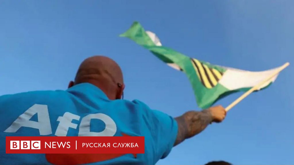 «Альтернативу для Германии» объявили экстремистской организацией