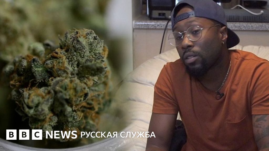 Bbc марихуана видео Bbc марихуана видео what is tor browser good for вход на гидру