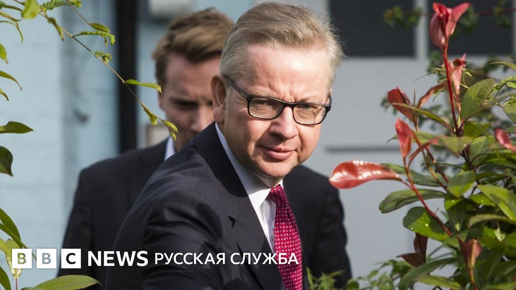 Выступавший за "брексит" министр выдвинулся в премьеры Британии - BBC ...