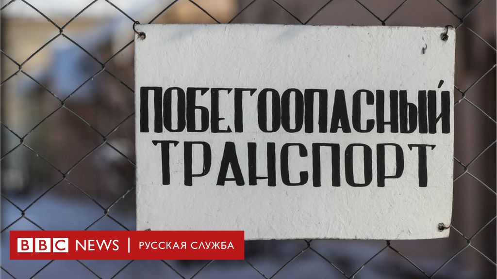 200 километров по лесу: как бегут из-под стражи в россии - bbc news русская служба
