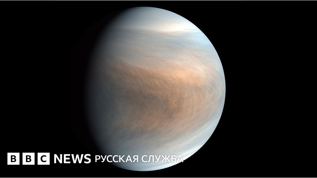 венеры
