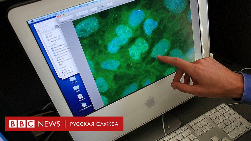 почему в различных клетках какого либо организма работает только часть генов биология 9 | Дзен