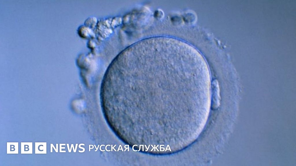 Британке разрешили использовать для зачатия яйцеклетки умершей дочери ...