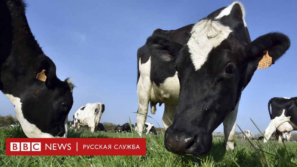 ЕС и Япония подписали крупнейшее в истории соглашение о