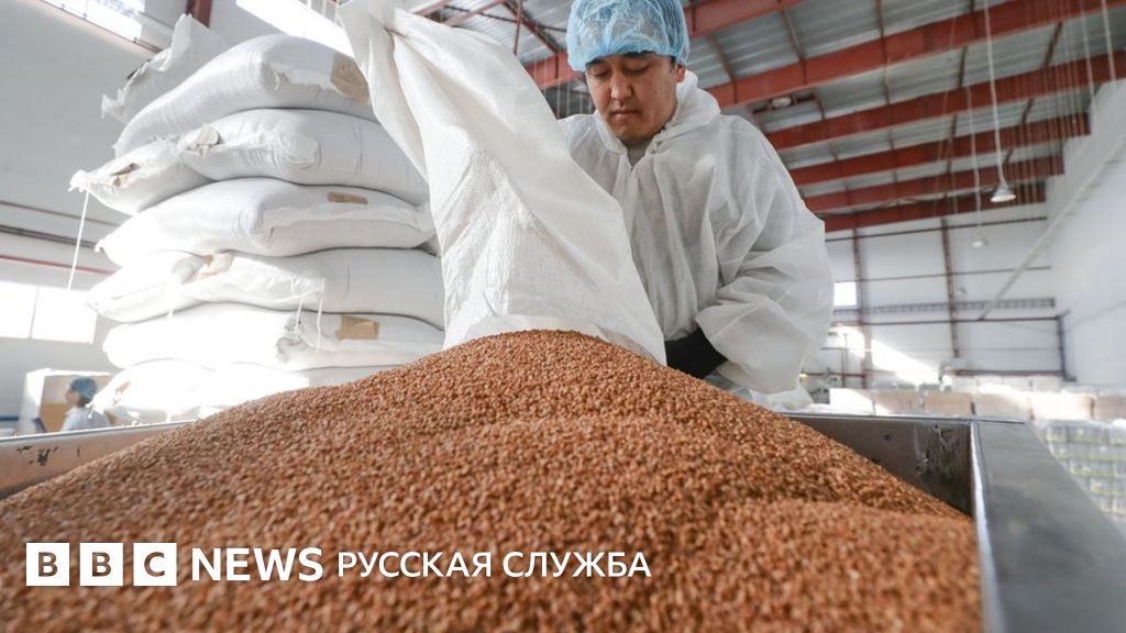 Россия временно запретила экспорт гречки. Власти опасаются роста цен ...