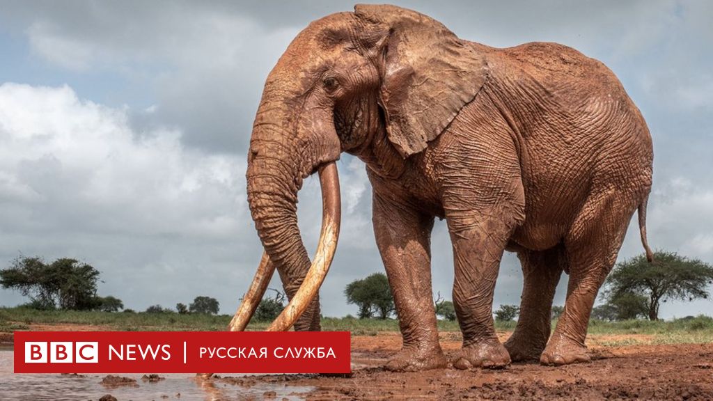 Подглядывание за толстыми голых женщин порно видео