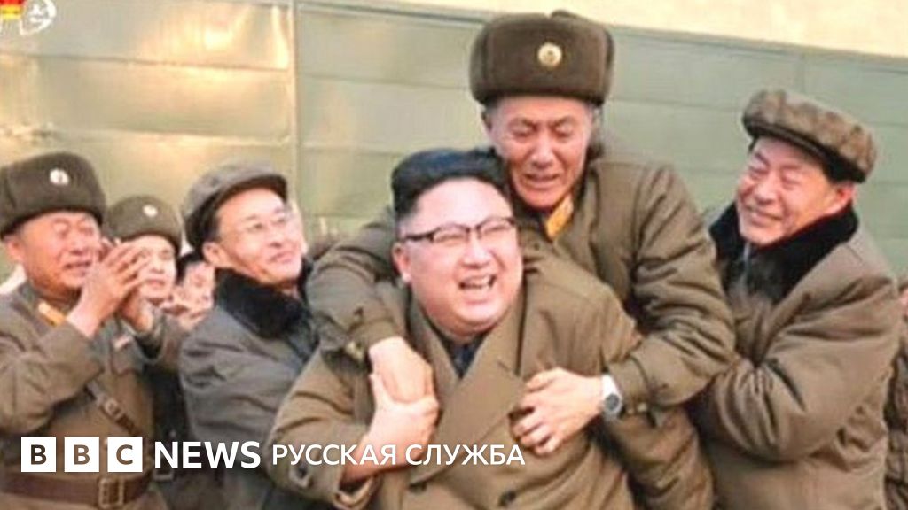 Кто осмелился залезть на Ким Чен Ына? - BBC News Русская служба