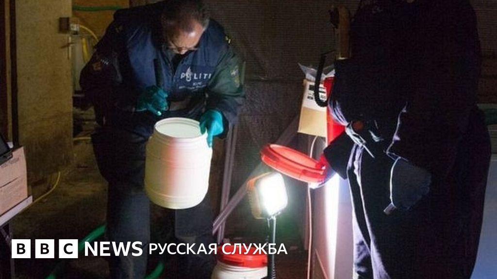 В Нидерландах обнаружили цех по производству наркотика для джихадистов ...