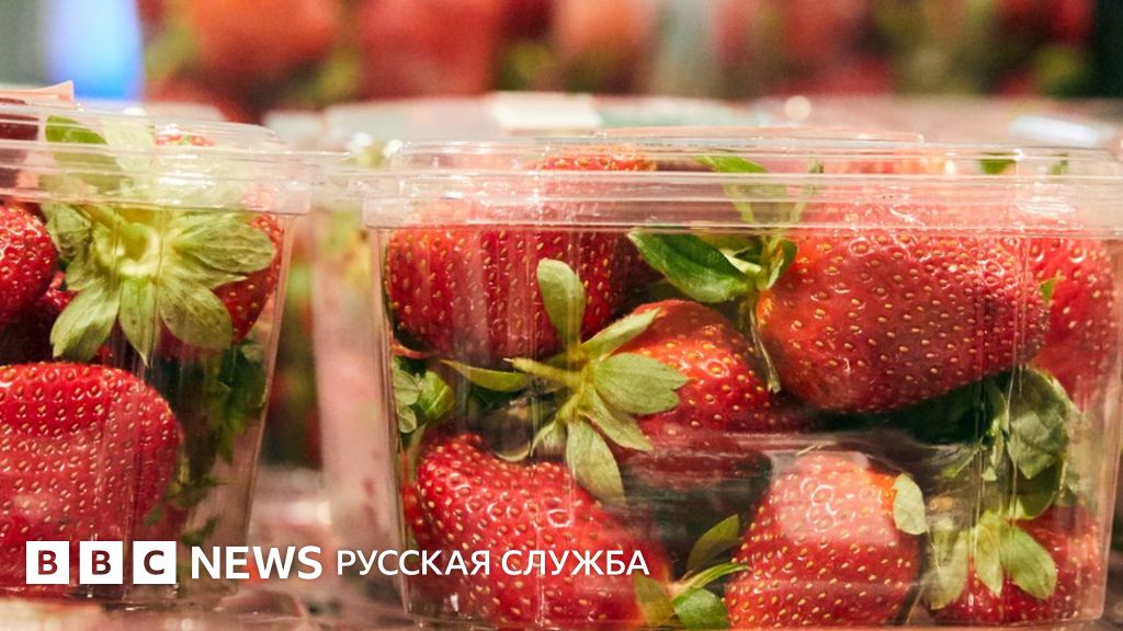Скандал с иголками в клубнике в Австралии: полиция арестовала подростка ...