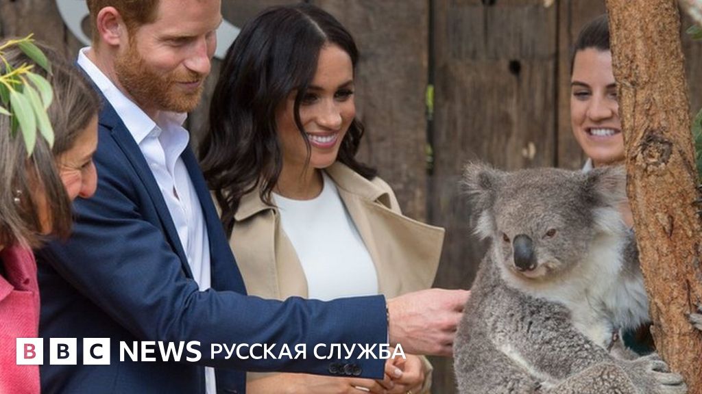 Гарри и Меган в Австралии: первые подарки для будущего ребенка - BBC ...