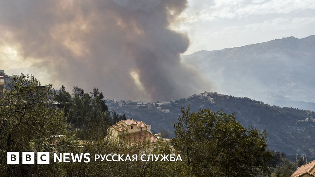 "Конец света". Лесные пожары в Алжире унесли жизни десятков человек ...