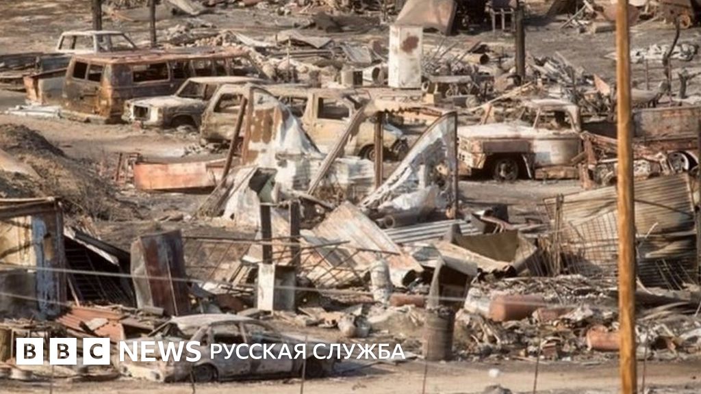 Пожарные локализовали лесной пожар в Сан-Бернардино в Калифорнии - BBC ...