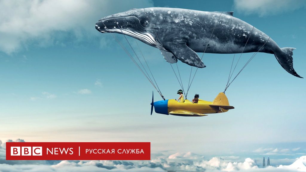 «Как сделать так, чтобы приснился сон? » — Яндекс Кью