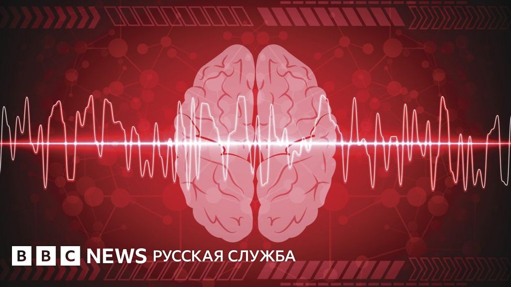 Как стать счастливым: совет ученого-нейробиолога - BBC News Русская служба