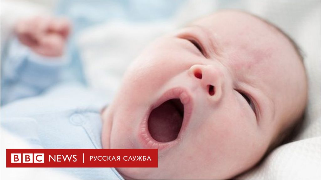 Почему зевота так заразительна? Британские ученые объясняют - BBC News  Русская служба