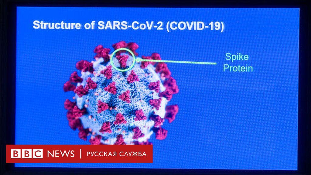 Koronavirus Novyj Pik Smertnosti V Ssha Kruiz V Nikuda Zavershilsya Dosrochno Vakcinu Pfizer Ne Sovetuyut Allergikam Bbc News Russkaya Sluzhba