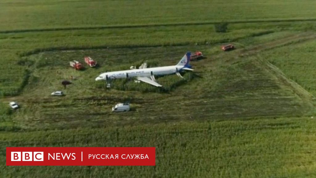 Фото посадки самолета на кукурузное поле