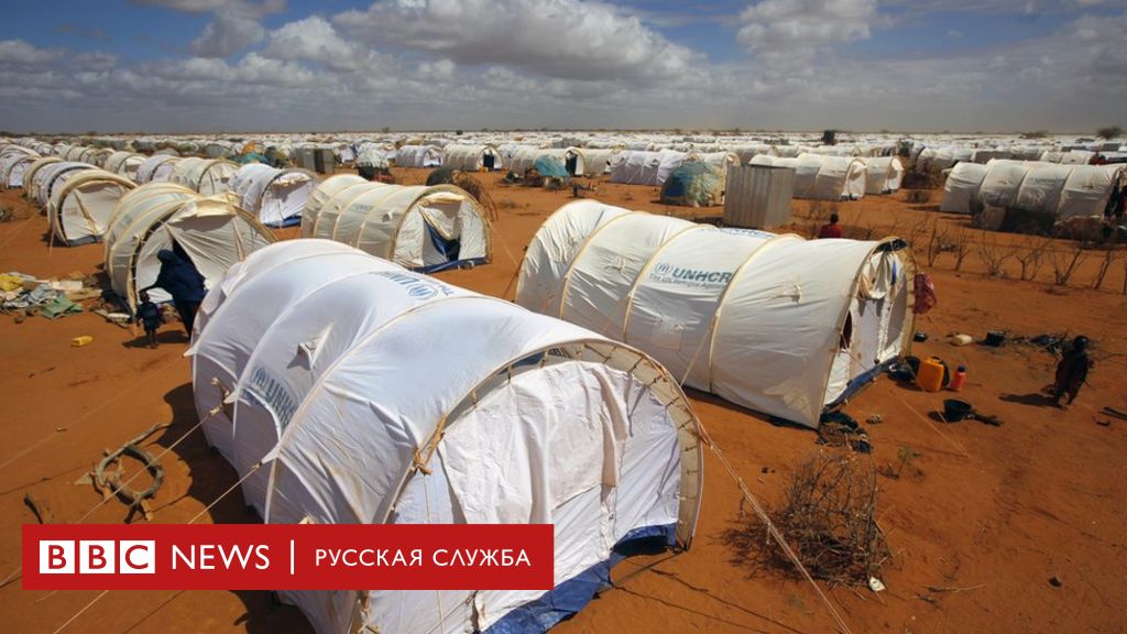 лагеря для беженцев в германии ноябрь 2024