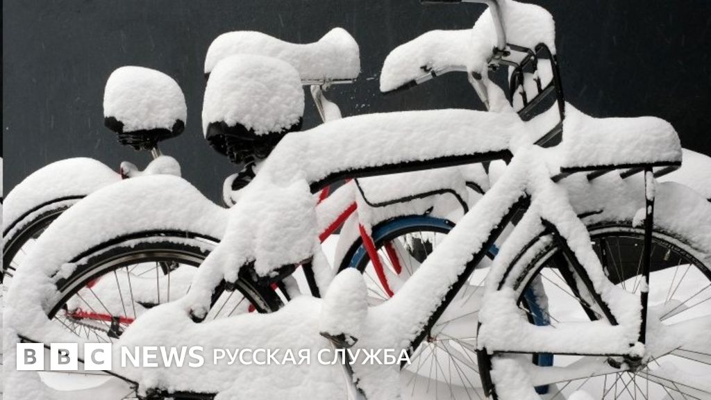 Фото: в Нидерландах снежная буря, впервые за 10 лет - BBC News Русская ...