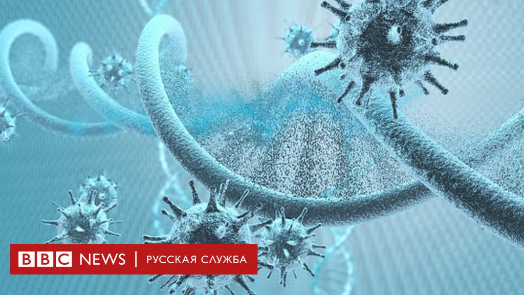 Названа новая угроза от укуса распространенного насекомого-кровопийцы - МК