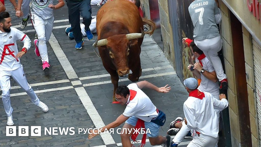Опасная забава: в Испании погиб участник забега с быками - BBC News ...