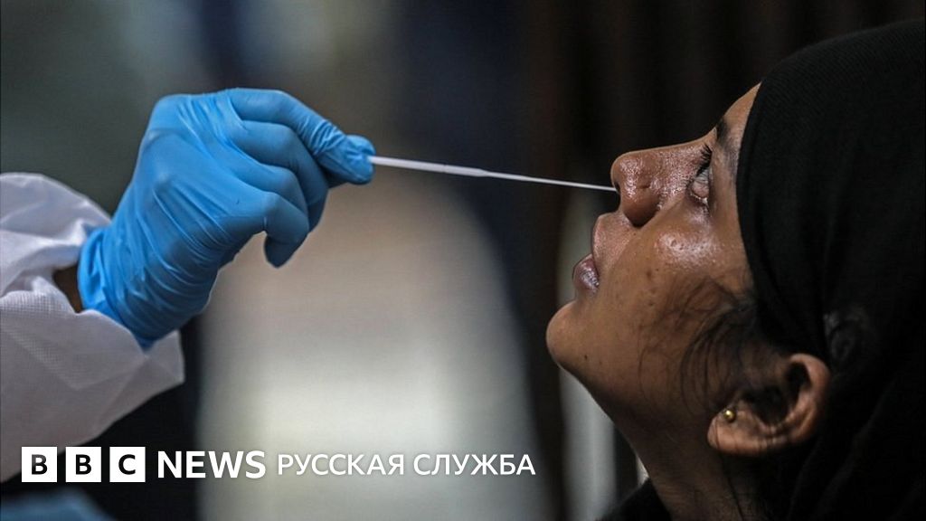 ������ ������ ���������: ����.