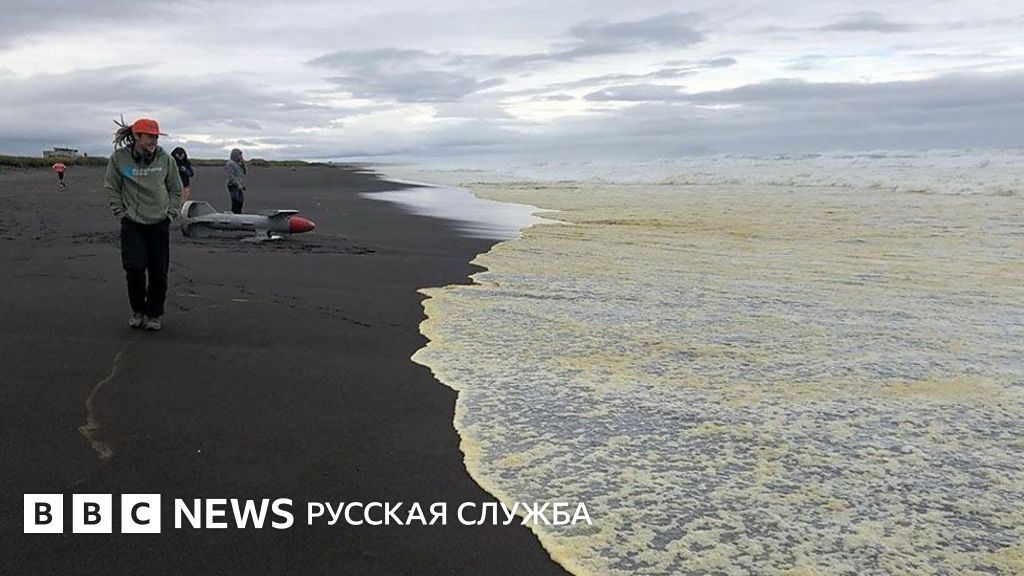 Эксперты уже называют это экологической катастрофой. - BBC News Русская ...